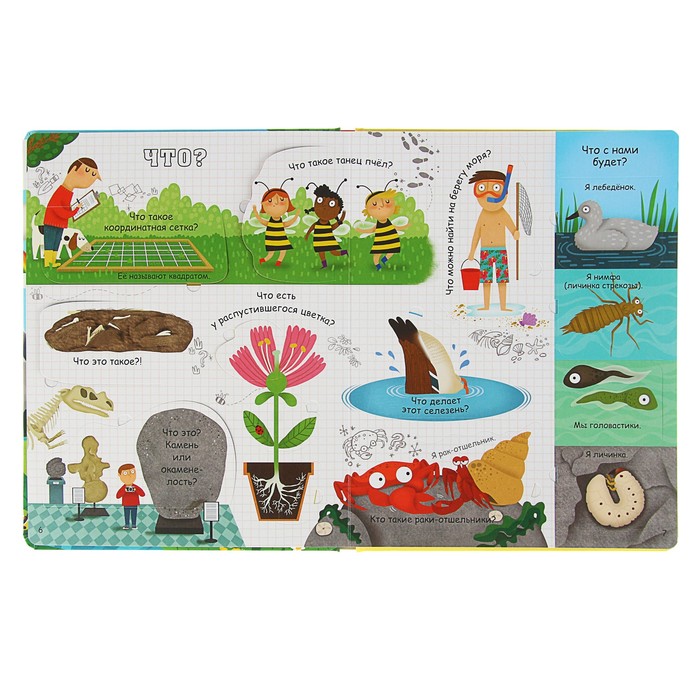 Вопросы и ответы о природе