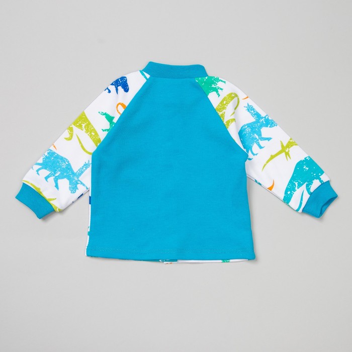 Кофта детская с длинным рукавом, рост 56, цвет разноцветный к045(56)г1_М