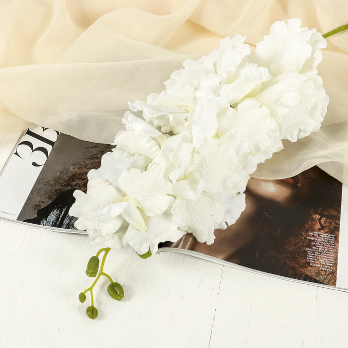 Цветы искусственные "Орхидея Параделия королевская" 15*100 см белая