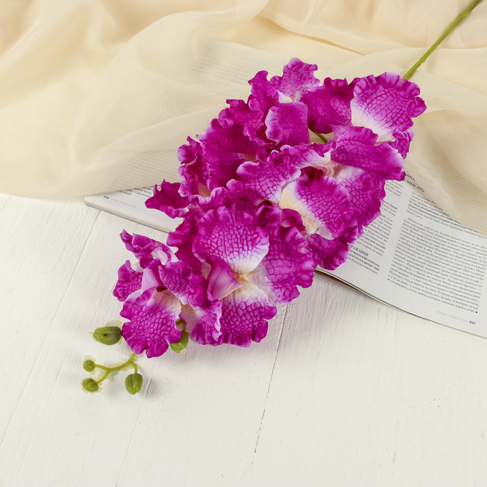 Цветы искусственные "Орхидея Параделия королевская" 15*100 см сиреневая