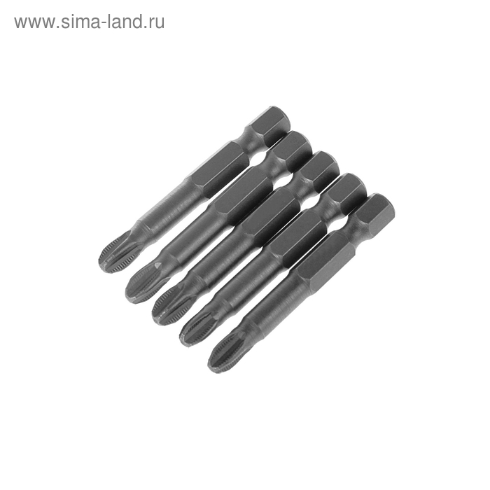 

Биты ТУНДРА, намагниченные, сталь CrV, PH3 х 50 мм, 5 шт.