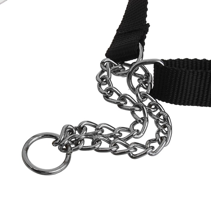 Полуудавка переменной длины с металлическим цугом, 40-68 х 2 см, нейлон, микс