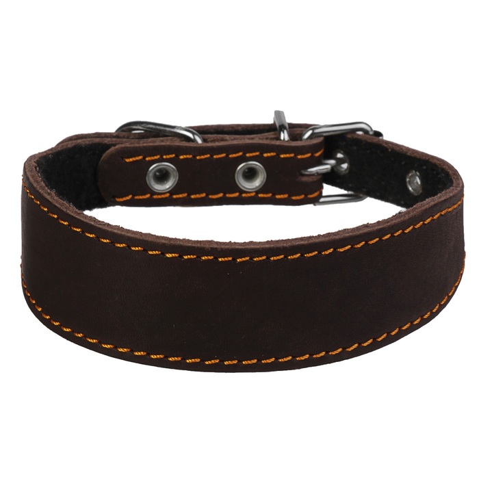 Ошейник кожаный для левретки, таксы с синтепоном, 25-32 х 3/1,5 см, микс
