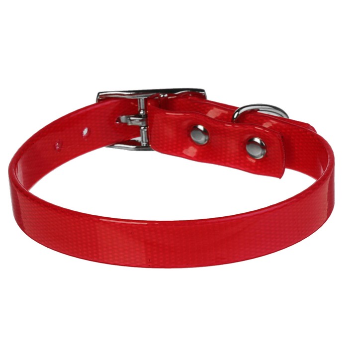 Ошейник из биотана, 20-24 х 1,2 см, красный