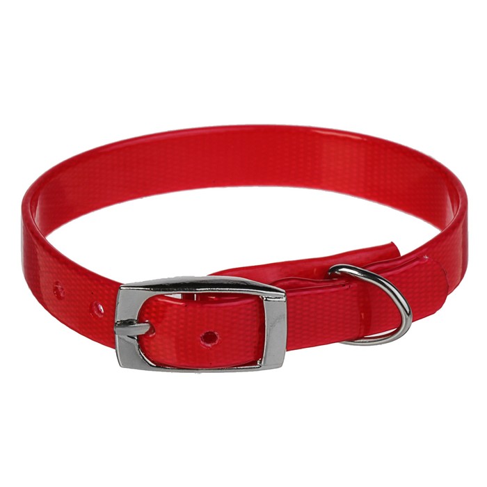 Ошейник из биотана, 20-24 х 1,2 см, красный