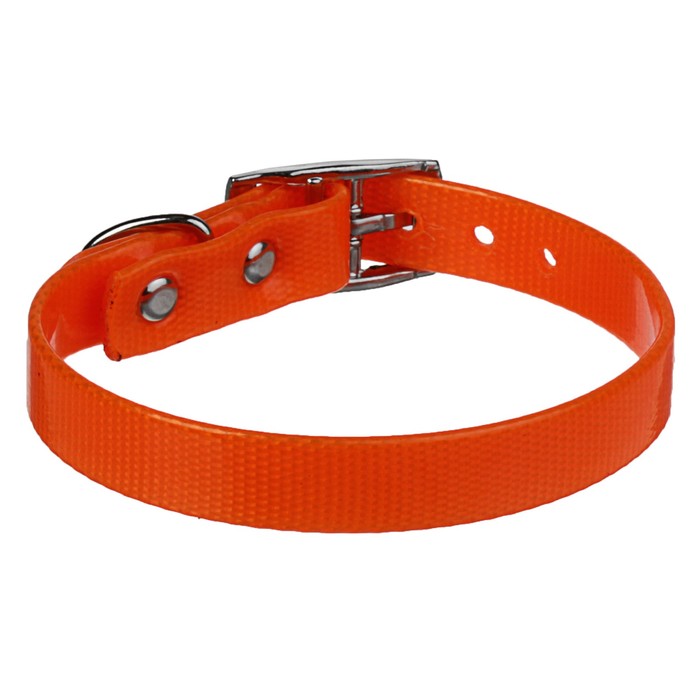 Ошейник из биотана, 20-24 х 1,2 см, оранжевый