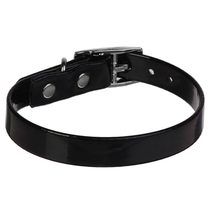 Ошейник из биотана, 20-24 х 1,2 см, черный
