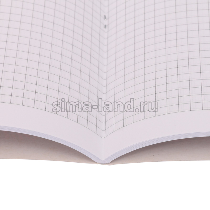 Бизнес-блокнот А4 Kroyter 48 листов, клетка, блок 65 г/м² блок, обложка картон, тиснение, спираль