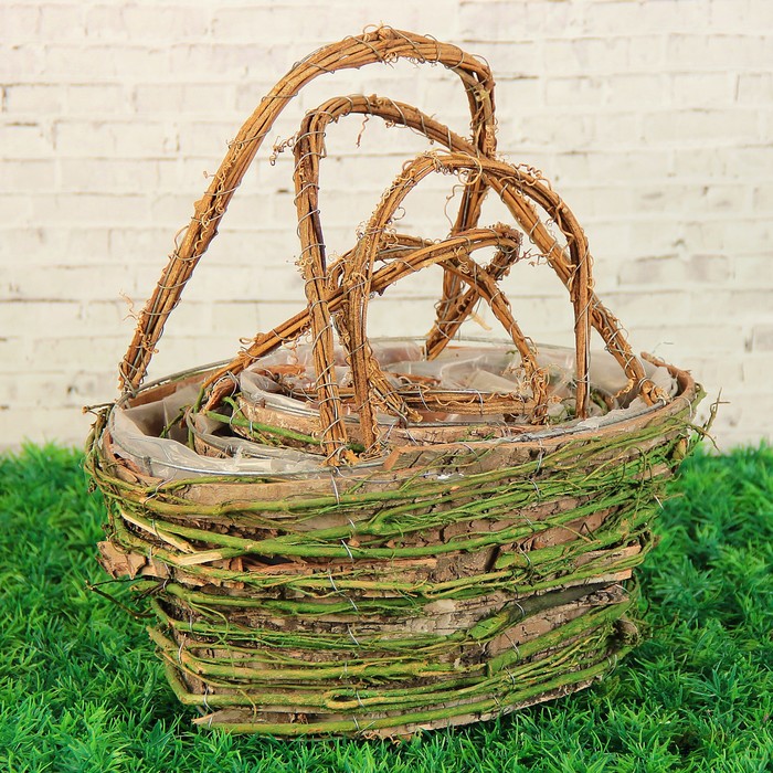 Набор корзин плетёных ротанг, кора 29x21x31/23x15x25/18x12x22 см, 3 шт, зеленый