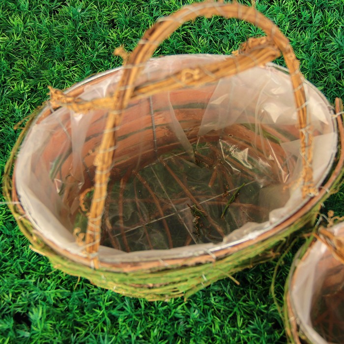 Набор корзин плетёных ротанг, кора 29x21x31/23x15x25/18x12x22 см, 3 шт, зеленый