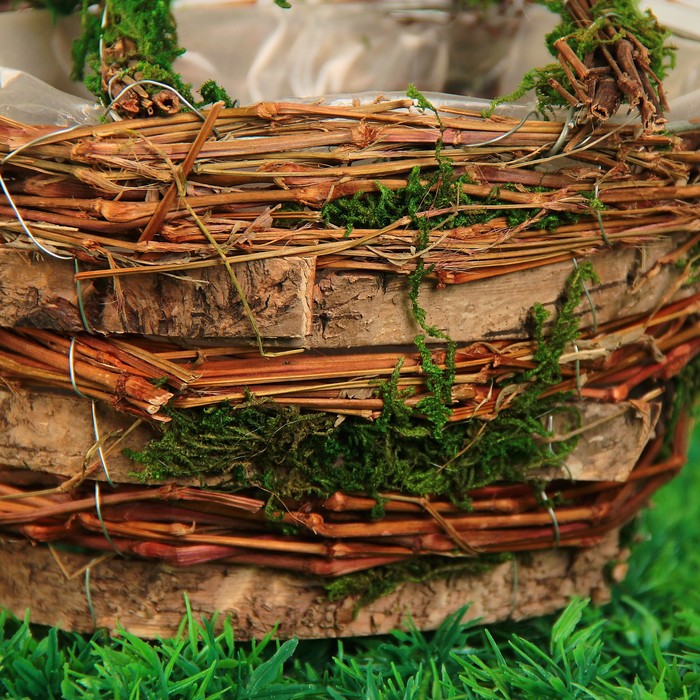 Набор корзин плетёных, ротанг, кора, мох, 17,5x11x21,5/23x14x26, 2 шт, натуральный