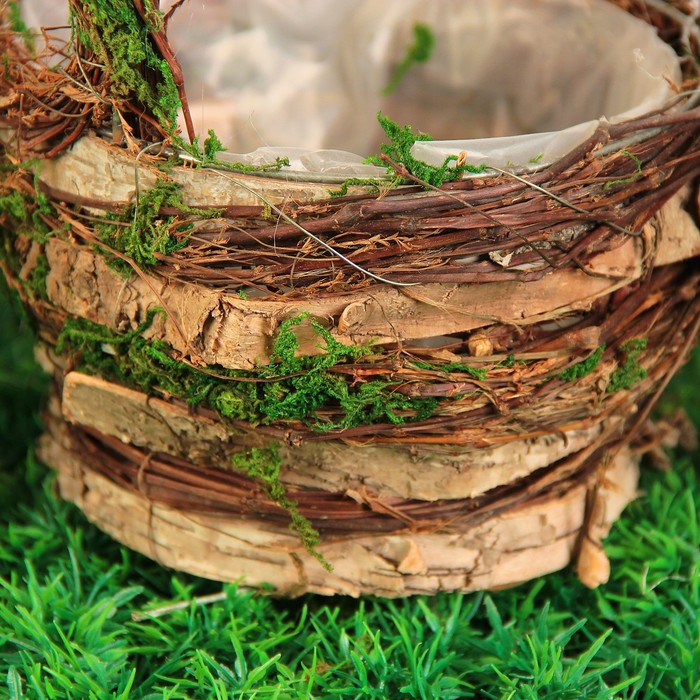 Набор корзин плетёных, ротанг, кора, мох, 12x12x25/16x16x31/20x20x37, 3 шт, натуральный