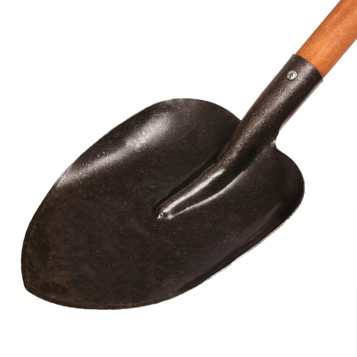 Лопата универсальная, с рёбрами жёсткости, деревянный черенок высшего сорта, Greengo