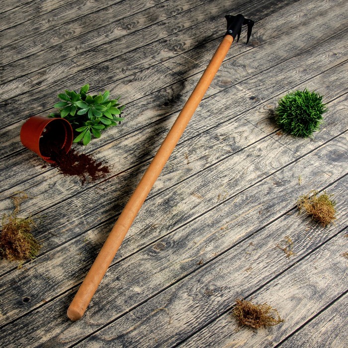 Грабли прямые, 3 зубца, длина 100 см, деревянная ручка, «Флора»