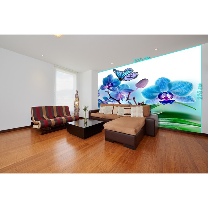 Фотообои «Цветы и бабочки» (из 3-х листов), 2,7х3,15 м