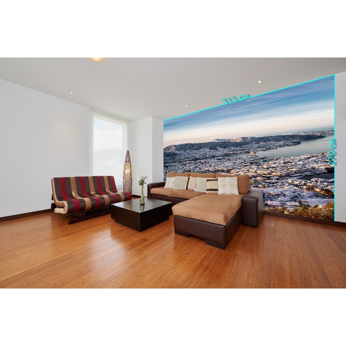 Фотообои «Норвегия» (из 3-х листов), 2,7х3,15 м