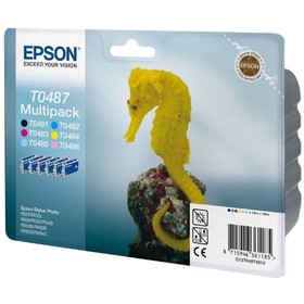

Картридж струйный Epson C13T04874010 черный/голубой/пурпурный/желтый/светло-пурпурный/светло-голубой