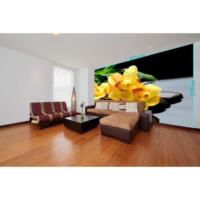 Фотообои «Капли» (из 3-х листов), 3,0х3,15 м