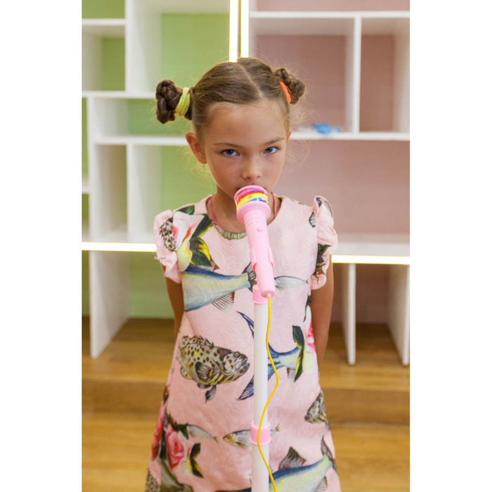 Музыкальная игрушка "Микрофон Звёздочка", звуковые эффекты