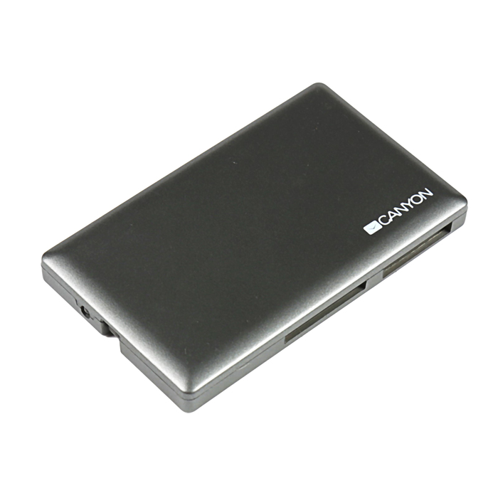 Картридер Canyon CNE-CARD2, USB 2.0, MS, SD, MMC, T-Flash, SDHC, Mini SD, RS-MMC, серый