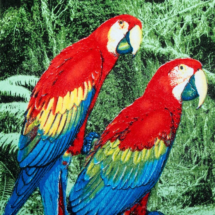 Полотенце махровое велюр "Попугаи" 70х140 см,320 г/м2,хлопок 100%