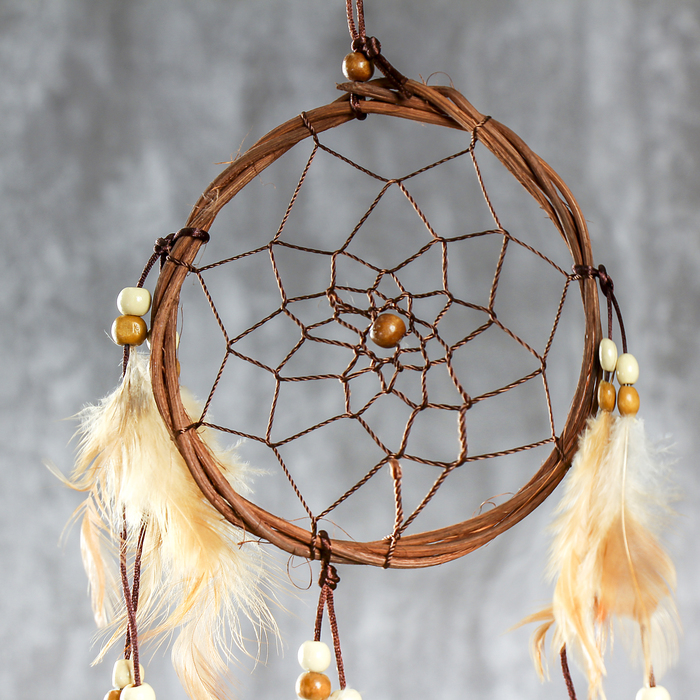 Ловец снов "Яркие краски" d=11 см длина 30 см МИКС