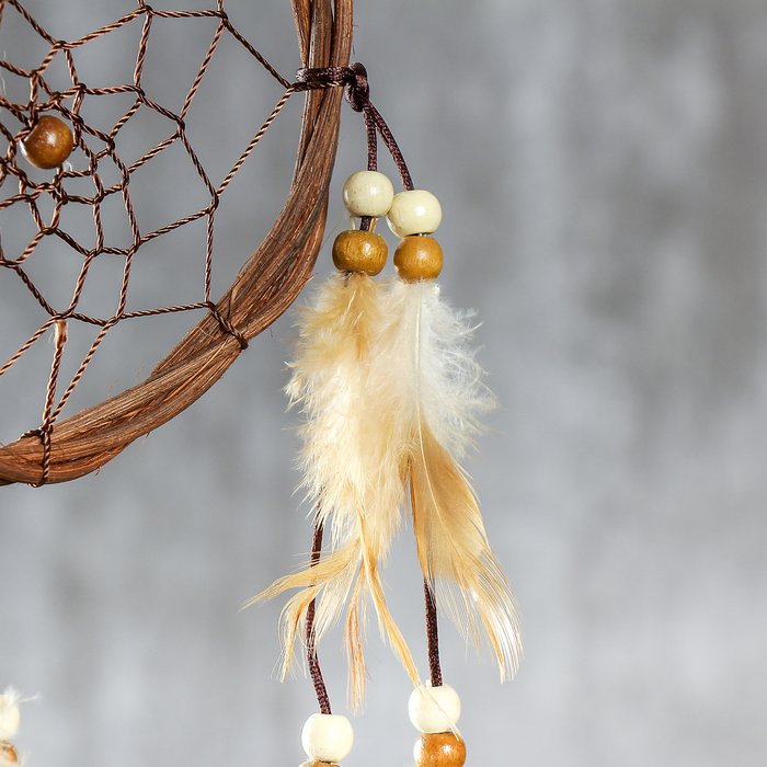 Ловец снов "Яркие краски" d=11 см длина 30 см МИКС