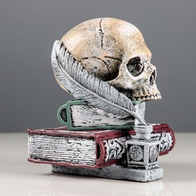 

Копилка "Череп на книгах 18 см", акрил, разноцветная, 18 см