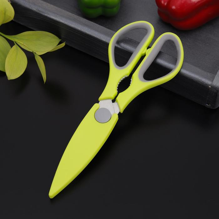 Ножницы кухонные Доляна «Спорт», 22 см, цвет МИКС ножницы кухонные драйв 22 см цвет микс