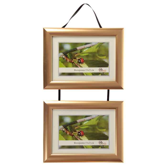 Фоторамка 742-1123 (15х21)*2 двойная на тесьме