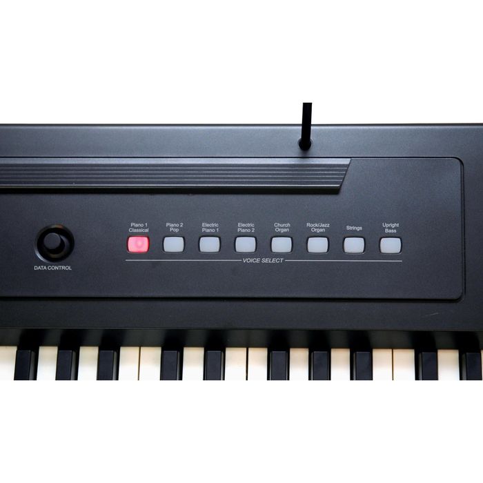 Цифровое пианино Ringway RP-20 Клавиатура: 88 полноразмерных молоточковых клавиш