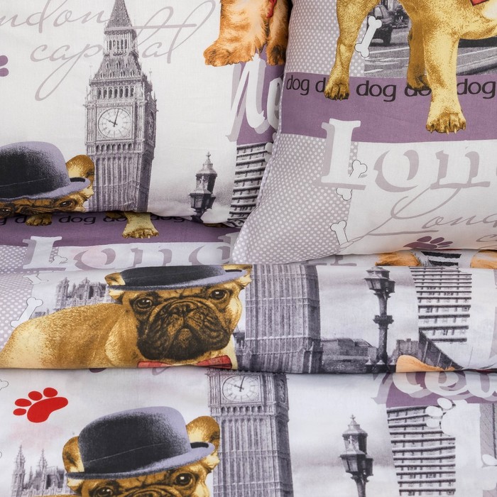 КПБ ДайПоспать Евротур 147*217 см, 150*220 см, 70*70 см 2шт, хл.100%, 125 гр/м