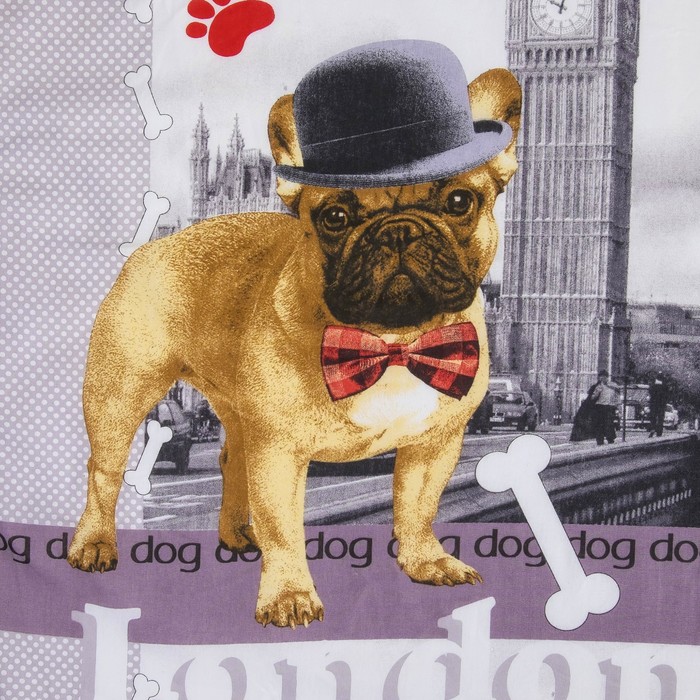 КПБ ДайПоспать Евротур 147*217 см, 150*220 см, 70*70 см 2шт, хл.100%, 125 гр/м