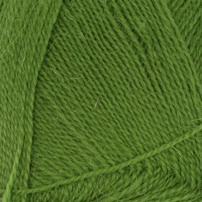 Пряжа "Снежный ягнёнок" 60%шерсть ягн, 20%вербл. шерсть, 20%акрил 600м/100гр (2406 трава)