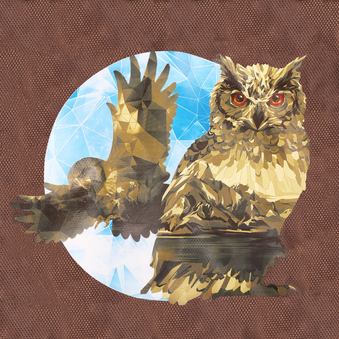 Термосумка "Сова", 25 л