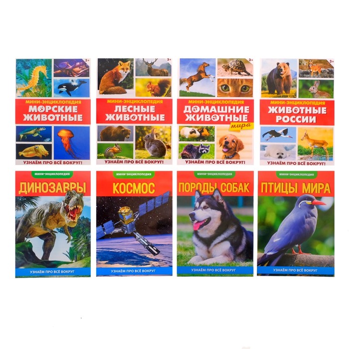 Набор мини-энциклопедий "Узнаем про все вокруг №2" по 20 стр.