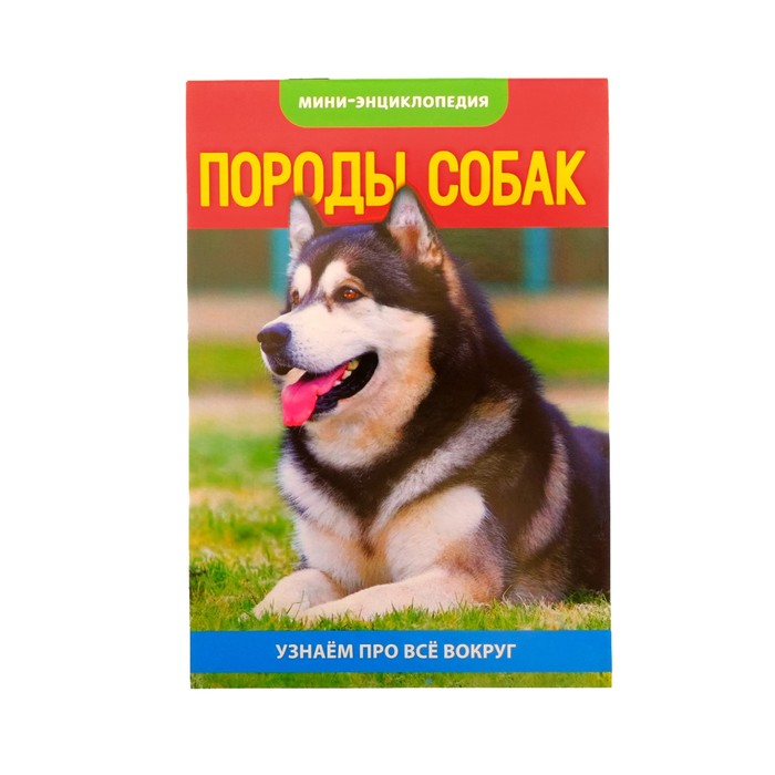 Набор мини-энциклопедий "Узнаем про все вокруг №2" по 20 стр.