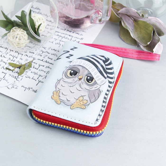 Кошелёк жен, 2 отдела, для карт, для монет, с ручкой, цвет мятный