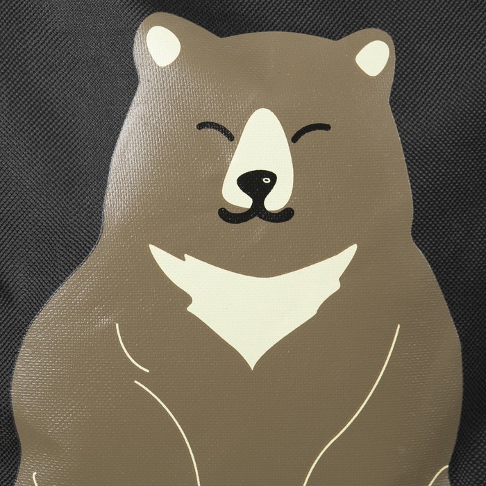 Сумка для обуви Зверята, 23*,0,5*33см, отдел на молнии, чёрный