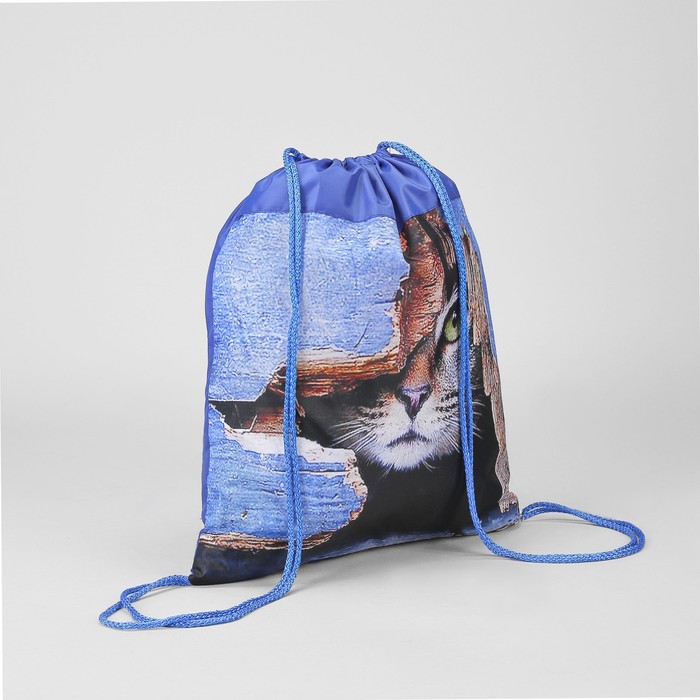 Мешок для обуви "Кот", отдел на шнурке