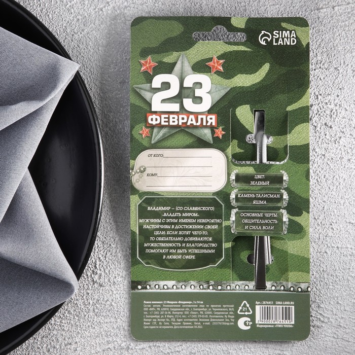 Ложка именная с 23 Февраля "Владимир"