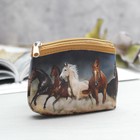 коричневый/синий коричневый/синий