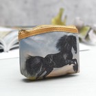 коричневый/голубой коричневый/голубой