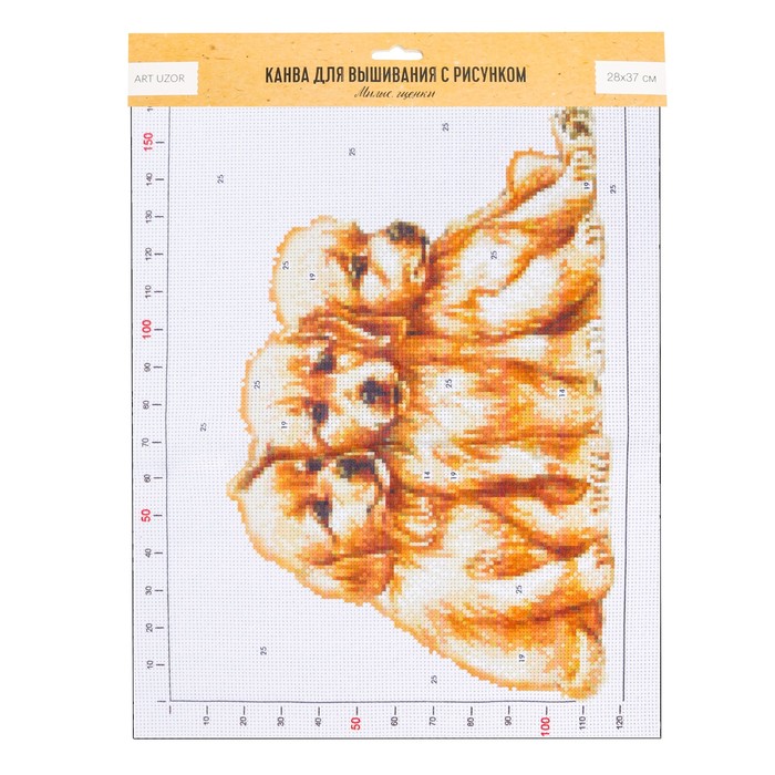 Канва для вышивания с рисунком «Щенки», 28 х 37 см