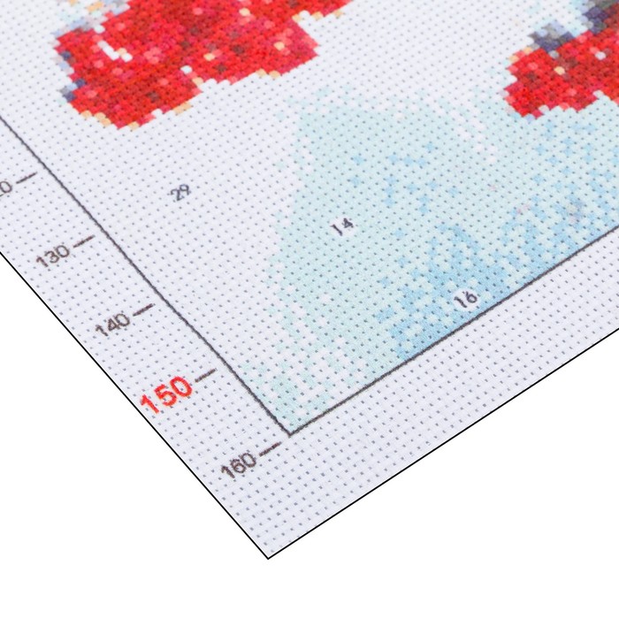 Канва для вышивания с рисунком «Снегири», 28 х 37 см