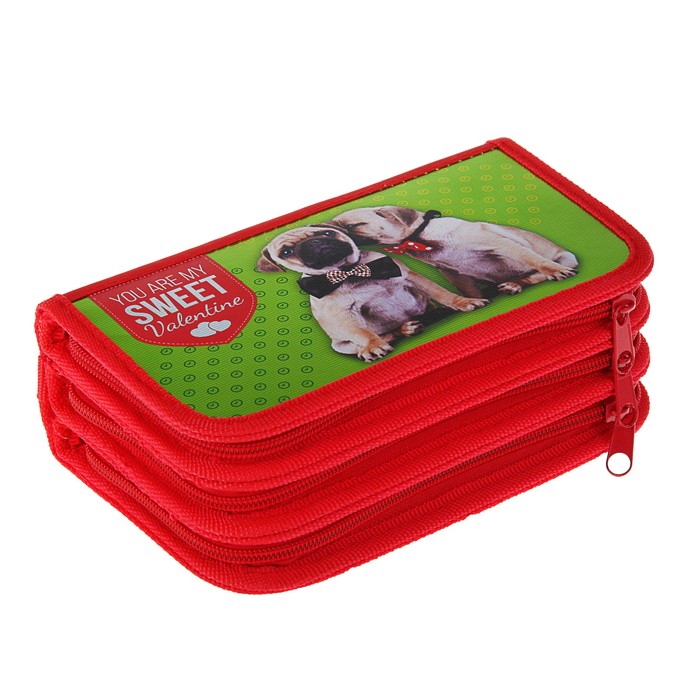 Пенал 3 секции 105x190 мм, ламинированный картон, фольга "Прикольные бульдоги"