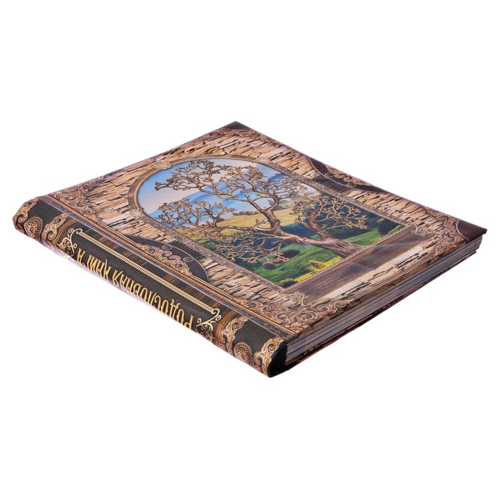 Родословная книга на кольцах "Почитай свой род", УЦЕНКА 25 х 29 см