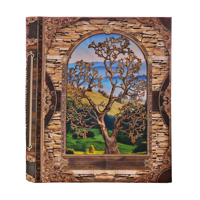 Родословная книга на кольцах "Почитай свой род", УЦЕНКА 25 х 29 см