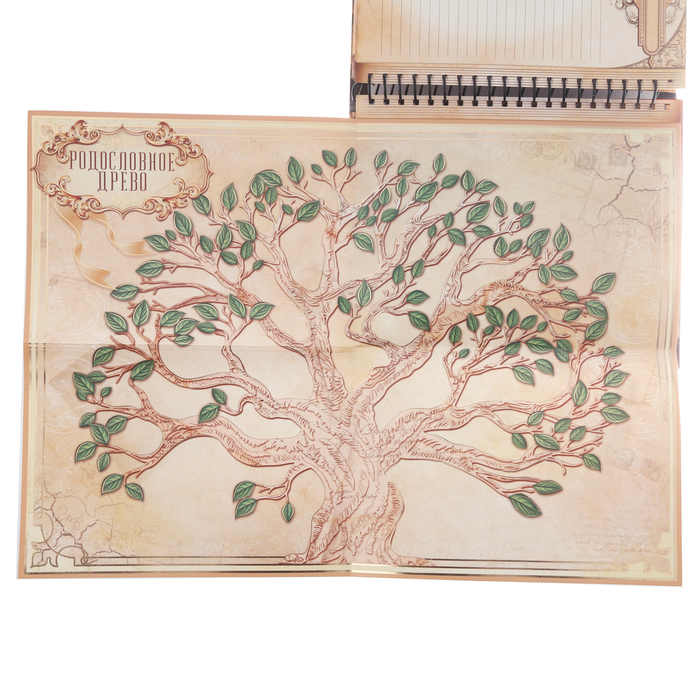 Родословная книга на кольцах "Почитай свой род", УЦЕНКА 25 х 29 см