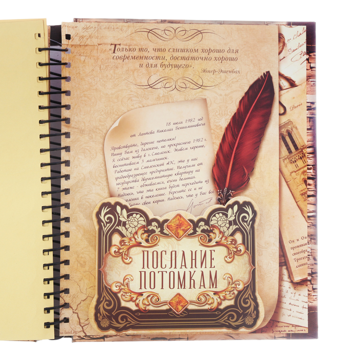 Родословная книга на кольцах "Почитай свой род", УЦЕНКА 25 х 29 см